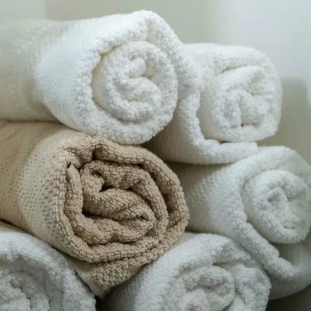 Apartment O&b